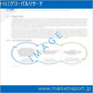 市場と産業調査レポートのイメージ